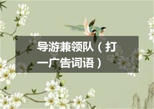 导游兼领队（打一广告词语）
