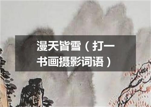 漫天皆雪（打一书画摄影词语）