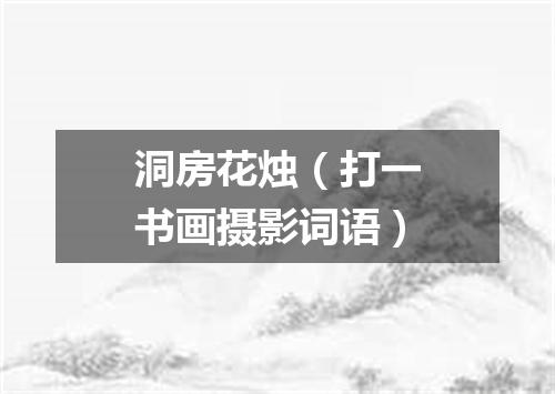 洞房花烛（打一书画摄影词语）