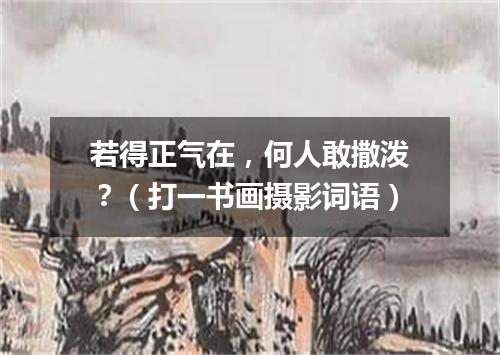 若得正气在，何人敢撒泼？（打一书画摄影词语）