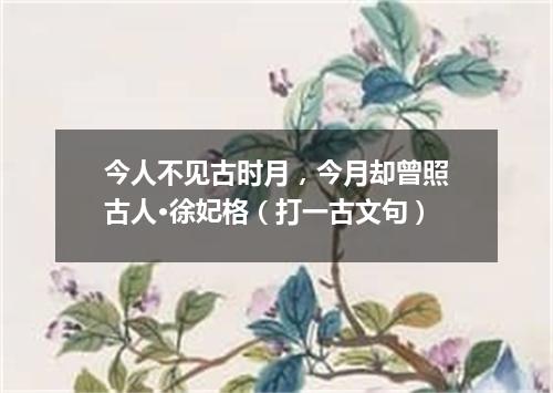 今人不见古时月，今月却曾照古人·徐妃格（打一古文句）