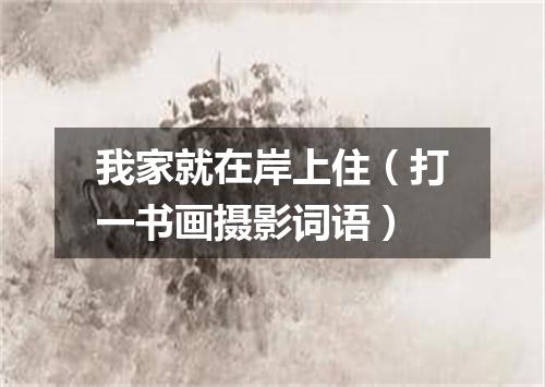 我家就在岸上住（打一书画摄影词语）