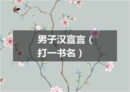 男子汉宣言（打一书名）