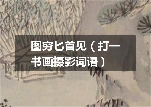 图穷匕首见（打一书画摄影词语）
