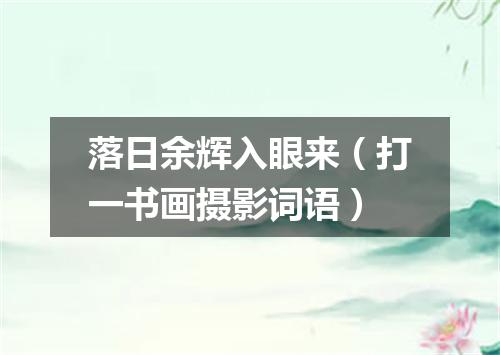 落日余辉入眼来（打一书画摄影词语）