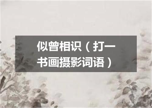 似曾相识（打一书画摄影词语）