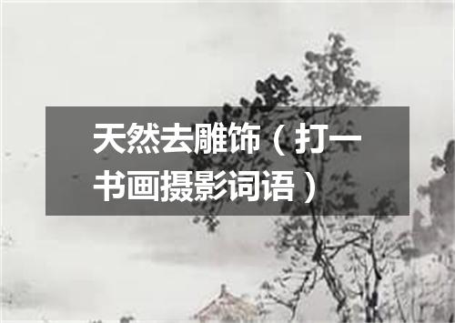 天然去雕饰（打一书画摄影词语）