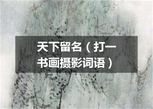 天下留名（打一书画摄影词语）