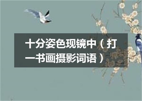 十分姿色现镜中（打一书画摄影词语）