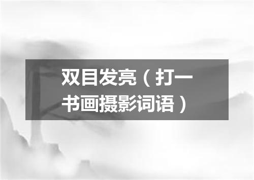 双目发亮（打一书画摄影词语）