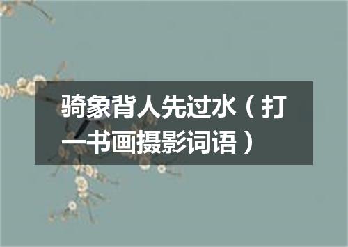 骑象背人先过水（打一书画摄影词语）
