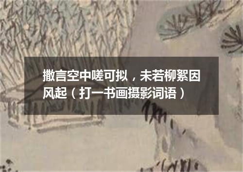 撒言空中嗟可拟，未若柳絮因风起（打一书画摄影词语）