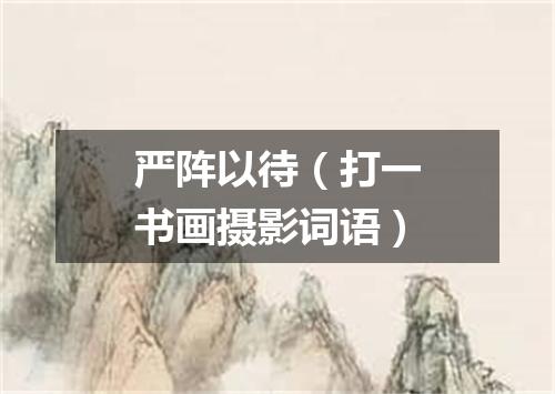 严阵以待（打一书画摄影词语）