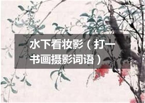 水下看妆影（打一书画摄影词语）