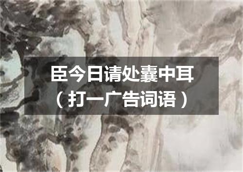臣今日请处囊中耳（打一广告词语）