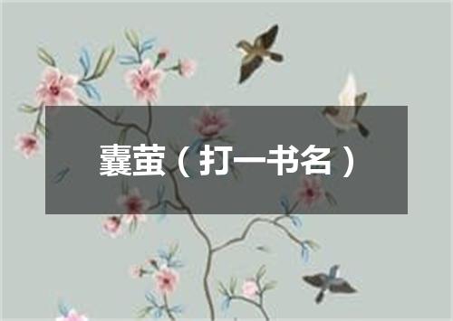 囊萤（打一书名）
