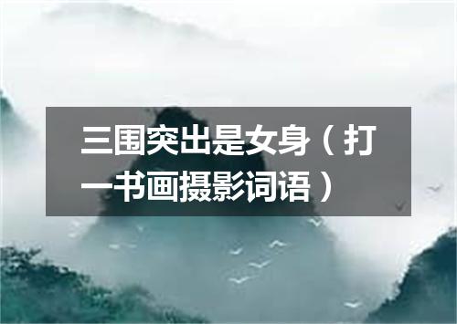 三围突出是女身（打一书画摄影词语）