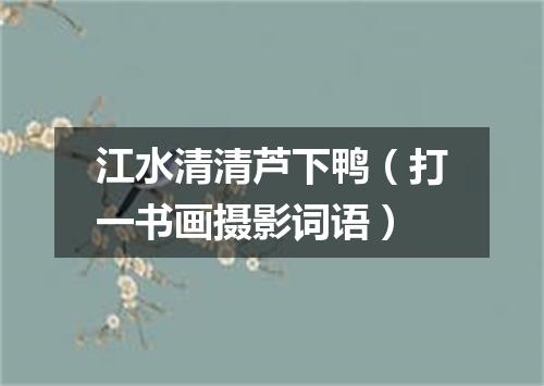 江水清清芦下鸭（打一书画摄影词语）