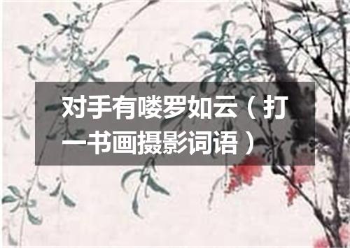 对手有喽罗如云（打一书画摄影词语）