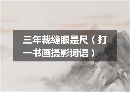 三年裁缝眼是尺（打一书画摄影词语）