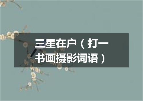 三星在户（打一书画摄影词语）