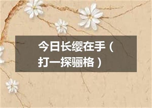 今日长缨在手（打一探骊格）