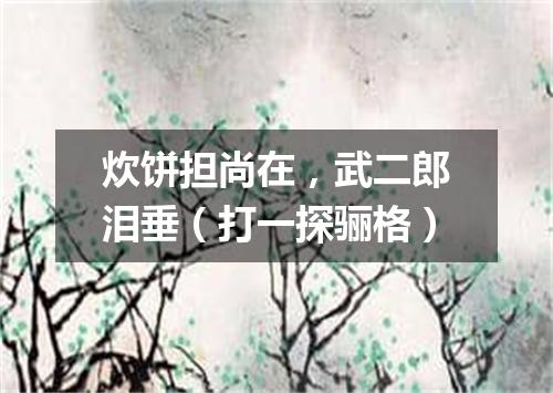 炊饼担尚在，武二郎泪垂（打一探骊格）