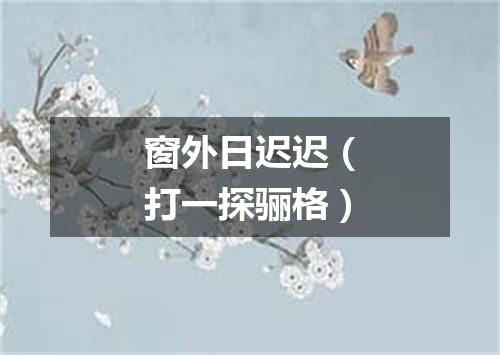 窗外日迟迟（打一探骊格）