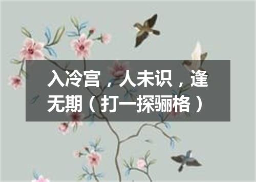 入冷宫，人未识，逢无期（打一探骊格）