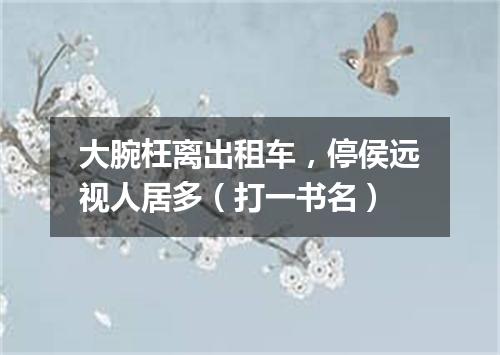 大腕枉离出租车，停侯远视人居多（打一书名）