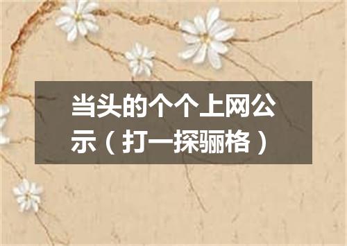 当头的个个上网公示（打一探骊格）