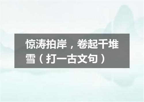 惊涛拍岸，卷起千堆雪（打一古文句）