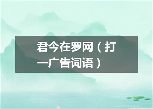 君今在罗网（打一广告词语）