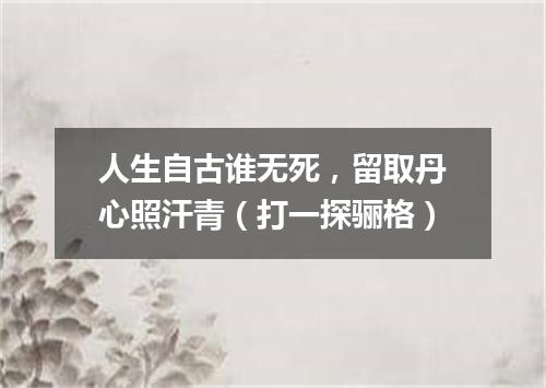 人生自古谁无死，留取丹心照汗青（打一探骊格）