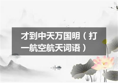 才到中天万国明（打一航空航天词语）