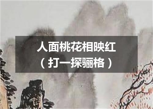 人面桃花相映红（打一探骊格）