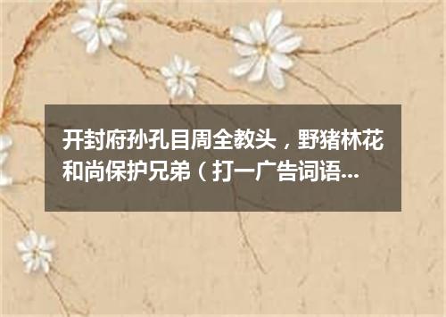 开封府孙孔目周全教头，野猪林花和尚保护兄弟（打一广告词语）
