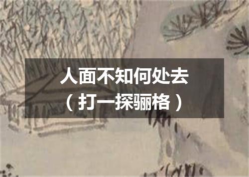人面不知何处去（打一探骊格）
