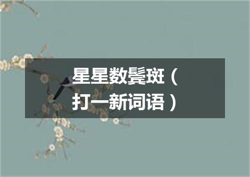 星星数鬓斑（打一新词语）