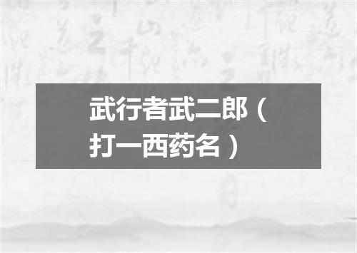 武行者武二郎（打一西药名）