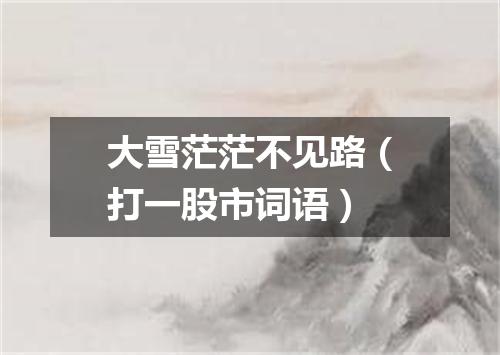 大雪茫茫不见路（打一股市词语）