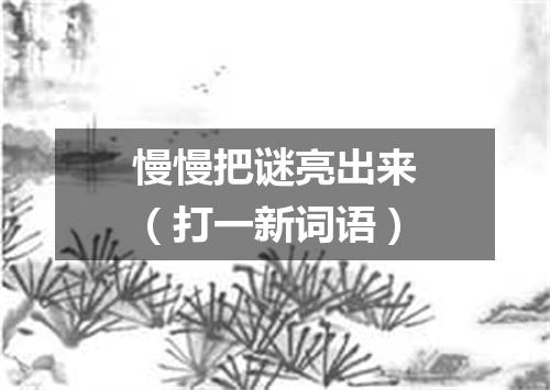 慢慢把谜亮出来（打一新词语）