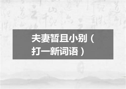 夫妻暂且小别（打一新词语）