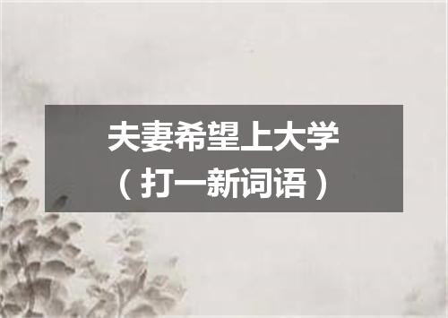 夫妻希望上大学（打一新词语）