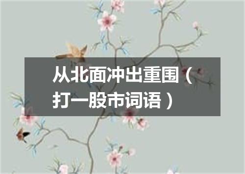 从北面冲出重围（打一股市词语）