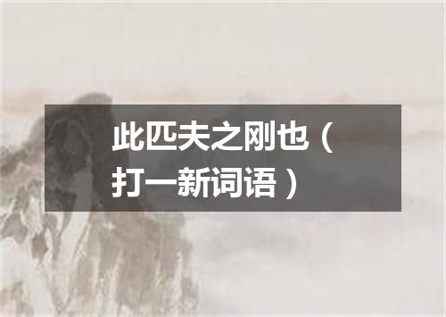 此匹夫之刚也（打一新词语）