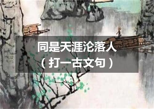 同是天涯沦落人（打一古文句）