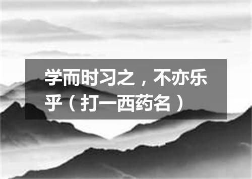 学而时习之，不亦乐乎（打一西药名）