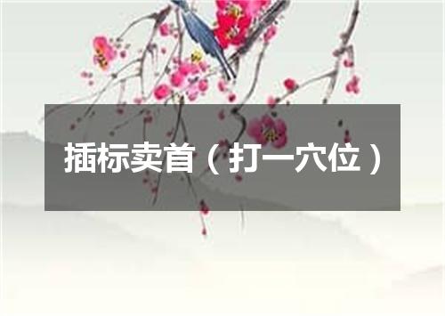 插标卖首（打一穴位）
