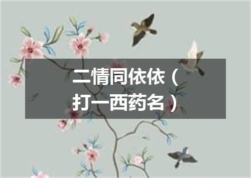 二情同依依（打一西药名）